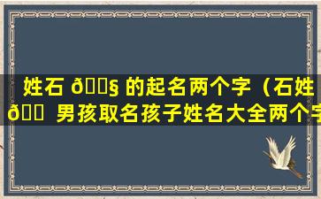 姓石 🐧 的起名两个字（石姓 🐠 男孩取名孩子姓名大全两个字）